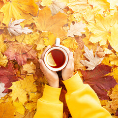 Wall Mural - Autumn concept - caucasian woman's hands hold a mug of black tea with lemon on a carpet of fallen autumn leaves, wearing yellow hoodie, top view