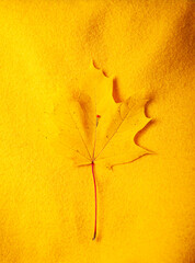 Wall Mural - Autumn concept. A yellow maple leaf is pinned to a yellow fleece hoodie
