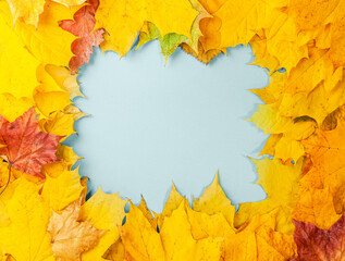 Wall Mural - Autumn concept - background of autumn fallen leaves of different colors with a place for text in the middle, blue, copy space