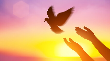 Silhouette pigeon flying out two hands in air vibrant sunlight sunset sunrise background. Freedom making merit concept. Nature animal people hope pray holy faith. International Day of Peace theme.