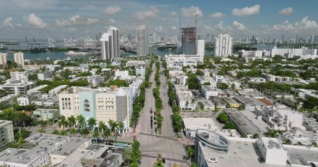 Poster - Aerial above main street with palm trees in South Beach. Miami skyscrapers on the horizon