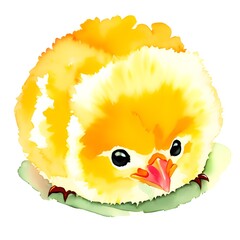 Sticker - cartoon cute yellow chick on white background