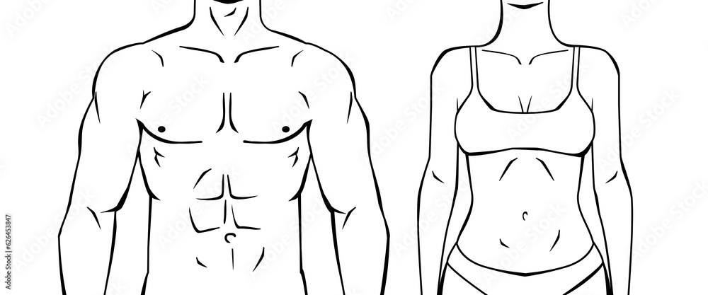 Vector de Stock male and female torsos line drawing outline style front