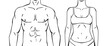 © tarikdiz - male and female torsos line drawing outline style front view vector illustration