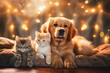 A dog and a cat on the sofa, bokeh, soft lighting with christmas lights. Generative AI.