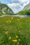 Fototapeta Natura - Sommerzeit im Salzkammergut in Österreich