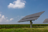 Fototapeta  - solar panels photovoltaics in solar farm