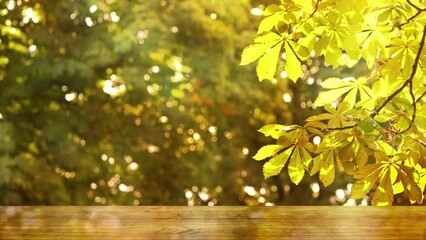 Wall Mural - abstract autumn tree background with yellow fall leaf in sunshine with bright blurred lights and empty wooden table for product presentation space