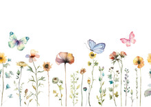 Vector Watercolor Painted Meadow Flowers. Horizontal Seamless Pattern Isolated On White Background