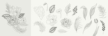 Floral Branch And Minimalist Flowers For Logo Or Tattoo. Hand Drawn Line Wedding Herb, Elegant Leaves