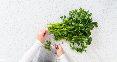 Wall Mural - Fresh parsley