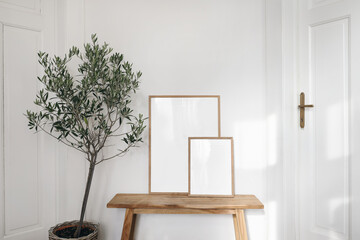 Wall Mural - Rustic Scandinavian interior, Living room, hall in old house with wooden bench. Two picture frame mockups in sunlight. White wall, doors. Olive tree in basket. Summer Mediterrranean home design.