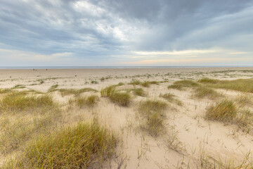 Poster - Outlook over Coastal Dunes at North Sea