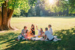 © Soloviova Liudmyla - Big family sitting on picnic blanket in city park linden treeb during weekend Sunday sunny day. They are chatting and eating boiled corn and watermelon. Family values and outdoors activities concept