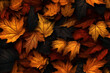 canvas print picture - autumn leaves background