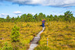 © Lars Johansson - Raised bog with hikers on a path