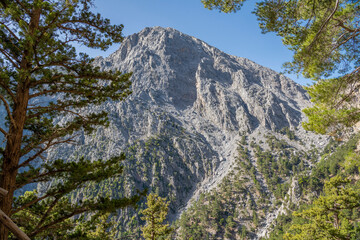 Wall Mural - View to the mountains from The Samaria Gorge, Crete, Greece