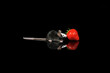 Cute black and white mouse with a strawberry on a black background with reflection