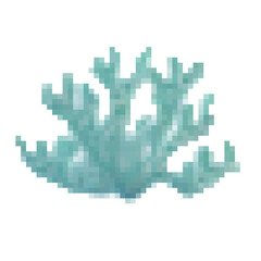 coral life 8 bit