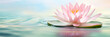Pink Lotus Flower Or Water.