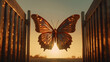 Butterfly at Butterfly At Sunset.