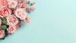 Decorative web banner. Close up of blooming pink roses flowers and petals isolated on pastel blue background. Floral frame composition. Empty space, flat lay, top view