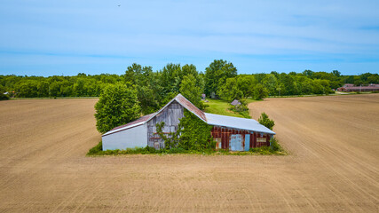 Wall Mural - Wooden and metal barn rusting with three empty dirt fields and a patch of green forest behind aerial