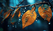 leaves with rain droplets on them in the style of rea