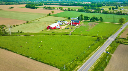 Wall Mural - Aerial farmland with cows grazing in green pastures and distant red barn and stable