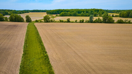 Wall Mural - Green patch of land winding its way through barren farmland that is all dirt aerial