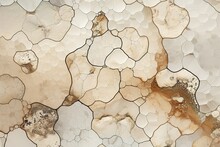 Travertine Marble Tiles, Featuring Natural Pitted Holes And Earthy Tones