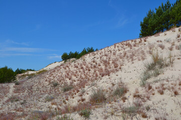 Wall Mural - Moving dunes in the Slovincian National Park also known as Slowinski National Park. Landscape with beautiful sand dunes and blue sky by the Baltic Sea, Leba. Poland