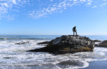 Wall Mural - Urfer on a rock on the beach during low tide (Pelluhue, Chile)