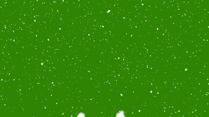 Wall Mural - Snow falling on green screen background