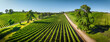 Vineyard Panorama in the Adelaide Hills