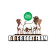 FARM GOAT BANNER LOGP, silhouette of great boer ram standing vector illustrations, this image is perfect as your goat farm promotions banner or poster, shirts print etc