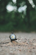 close up pocket watch on stone, nature copy space background, planning and manage to success business concept