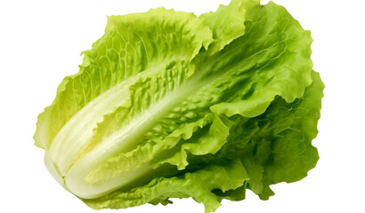  lettuce - 1