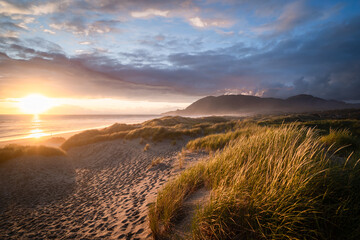 Wall Mural - Oregon Coast Dunes