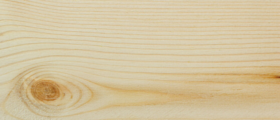 Wall Mural - wood plank Texture background for design