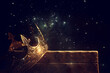 © tomertu - low key image of beautiful queen or king crown over wooden table. vintage filtered. fantasy medieval period