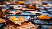 Beautiful Autumn Leaves Lie On The Paving Stones. Natural Background Fallen Autumn Leaves
