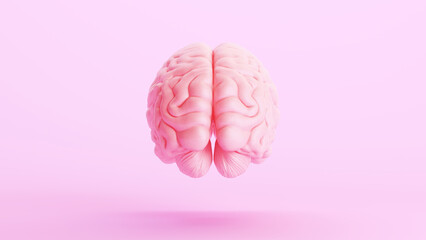 Wall Mural - Pink brain anatomy mind intelligence medical organ science pink background rear view 3d illustration render digital rendering