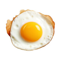 Fried Egg Isolated On White Background On Top View Food Cooking Photo Object Design