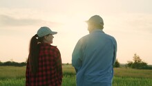 Agriculture Industry, Two Farmers Work Green Field At Sunset, Field Wheat, Growing Green Plants, Senior Agronomist Talks About Work Modern Farming, Commercial Activities, Financial Investments