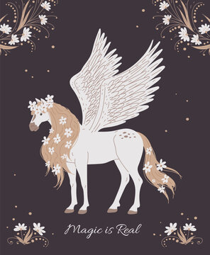 Wall Mural -  - Magical horse with wings and flowers in mane, poster with text, cartoon flat vector illustration.
