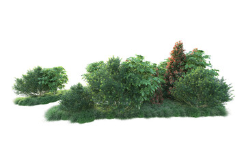 Green landscape isolated on transparent background. 3d rendering - illustration