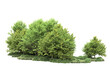 © Cristian - Green landscape isolated on transparent background. 3d rendering - illustration