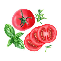 A composition with tomato and herbs such as basil, rosemary. Hand drawn watercolor illustration for clip art, cards, label, menu