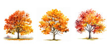 Plant Autumn Tree Watercolor Ai Generated